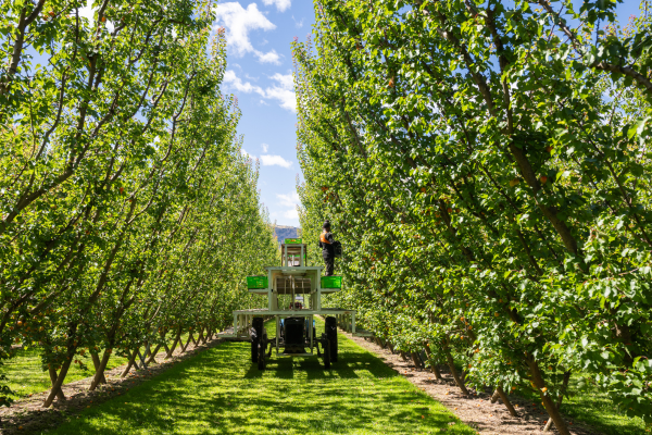 Farmer confidence survey