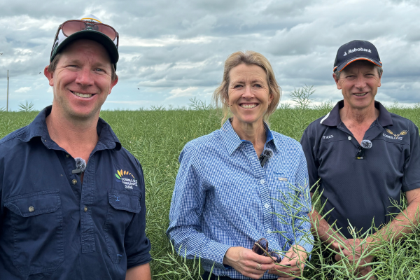 Rabobank Rural Manager, Tom Brown with Tasmanian strawberry producers, Jack and Lisa Beattie, with Caroline Oosterbaan.  
