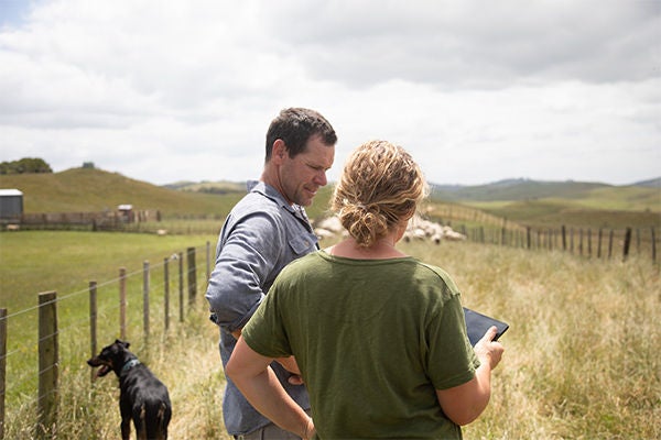 Asb Rural Rural Transaction & Loan Facility | Rabobank NZ