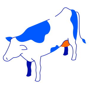 cow