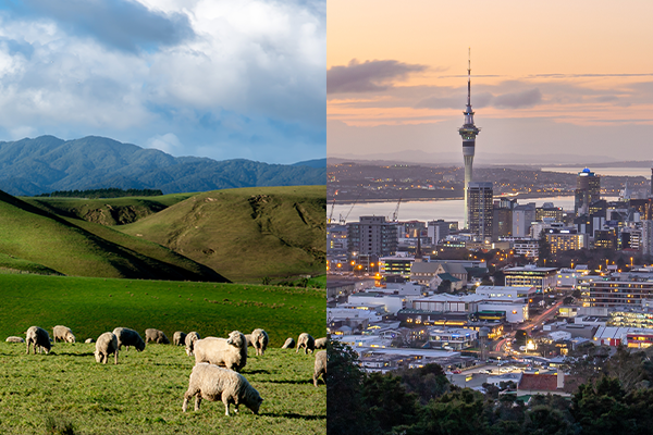 Client Council Educational Key Theme