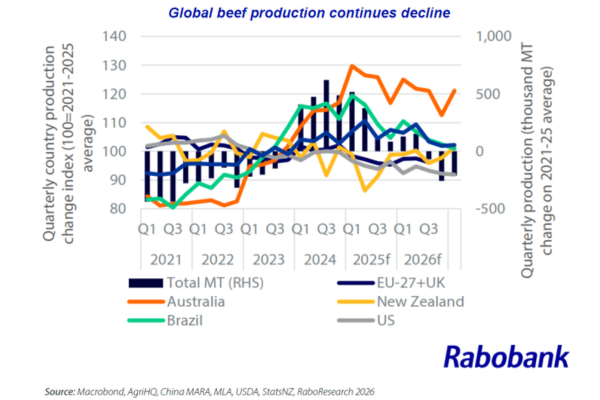 Global beef production continues decline