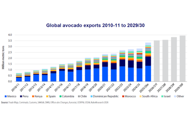 Global Avocado exports 