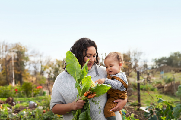 Farm Planning Workshops