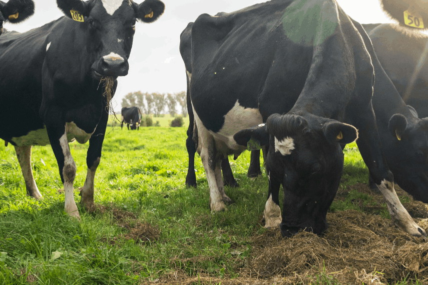 Agribusiness Monthly