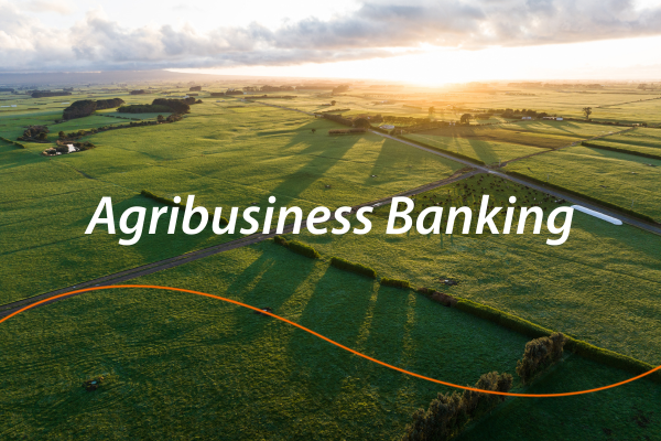 Agribusiness Banking | Rabobank NZ