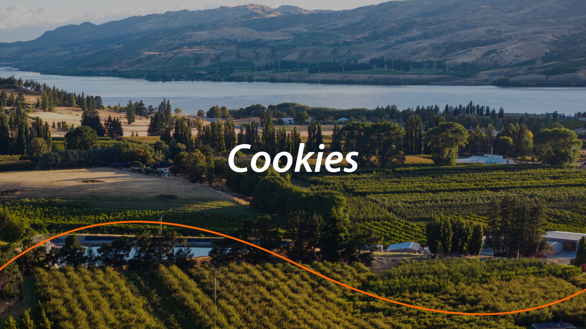Cookies