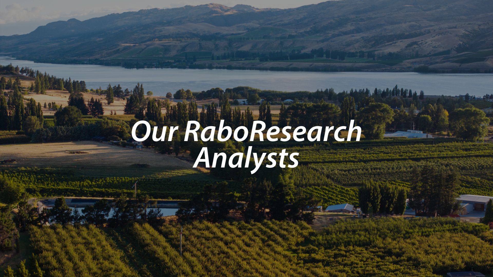 Our RaboResearch Analysts